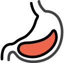 Strengthens Intestinal Barrier