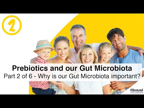 Part 2 of 6 - Why Is Our Gut Microbiota Important?