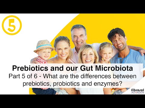 Part 5 of 6 - What Are the Differences Between Prebiotics, Probiotics and Enzymes?