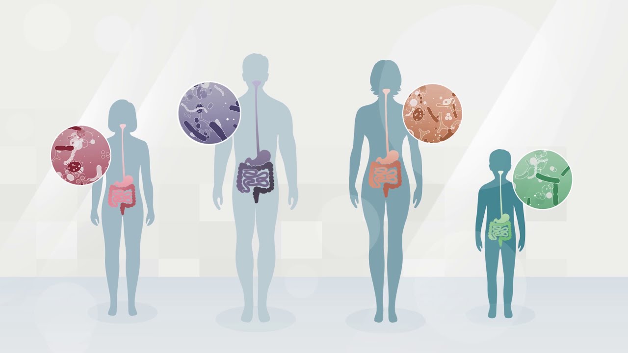 What is a Prebiotic? ISAPP educational video