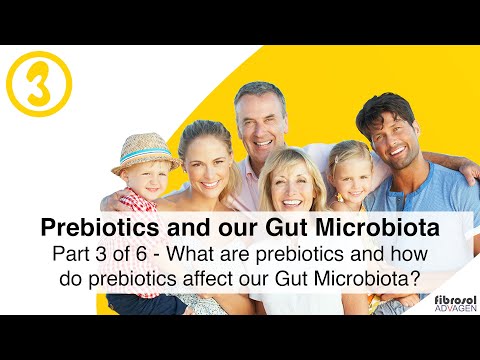 Part 3 of 6 - What Are Prebiotics and How Do Prebiotics Affect Our Gut Microbiota?