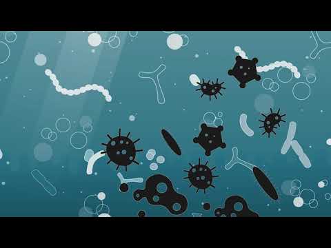 What is a probiotic? ISAPP educational video