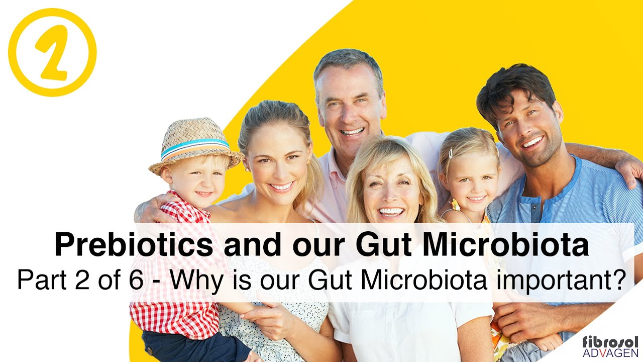 Part 2 of 6 - Why Is Our Gut Microbiota Important?