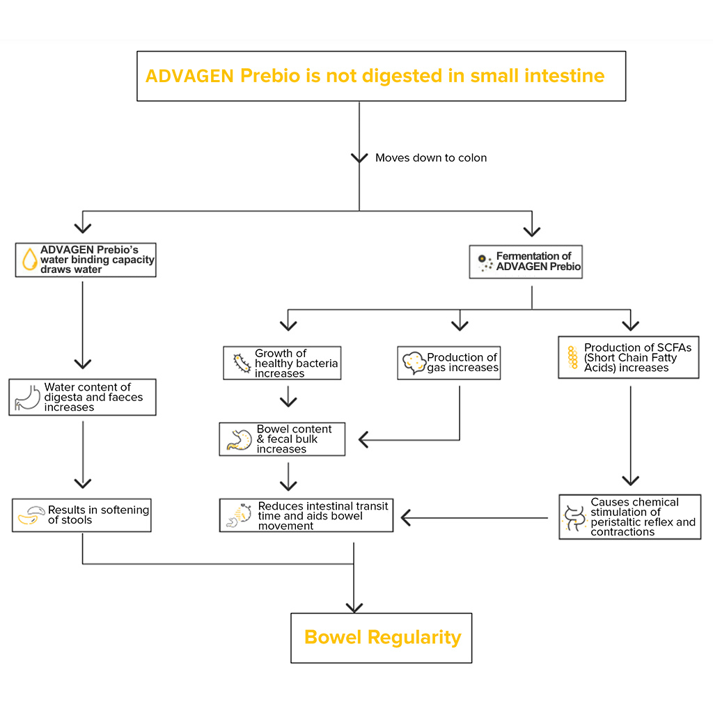 how-fibrosol-works-chart