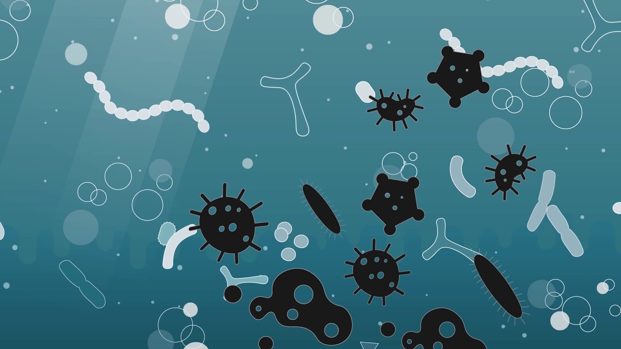 What is a probiotic? ISAPP educational video